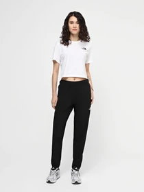 Брюки The North Face Athletics Lab модель NF0A824TJK31 Фото