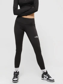 Брюки The North Face Mountain Athletics модель NF0A825CJK31 Фото