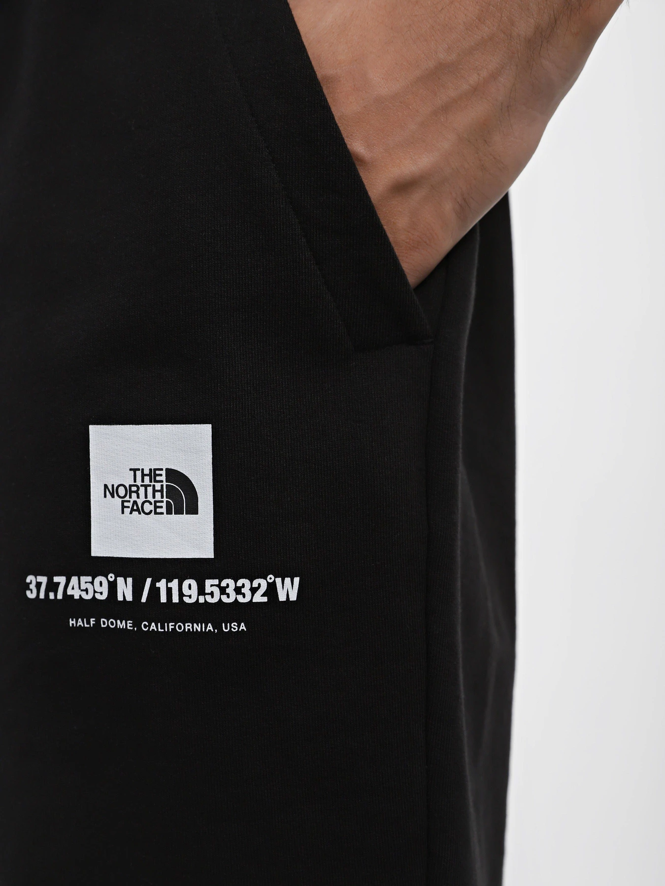 Шорты The North Face Coordinates модель NF0A826ZJK31 Фото