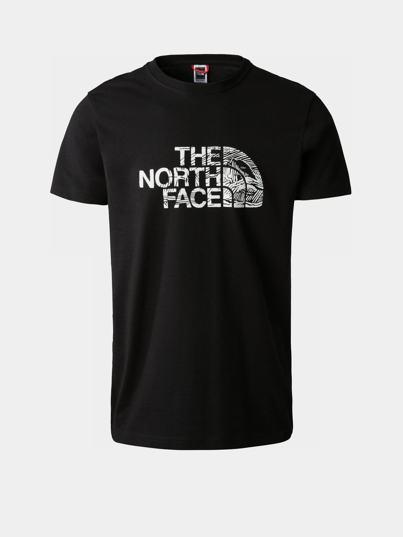 Футболки і поло The North Face Woodcut Dome модель NF0A827HJK31 Футболки і поло The North Face Woodcut Dome модель NF0A827HJK31 Фото