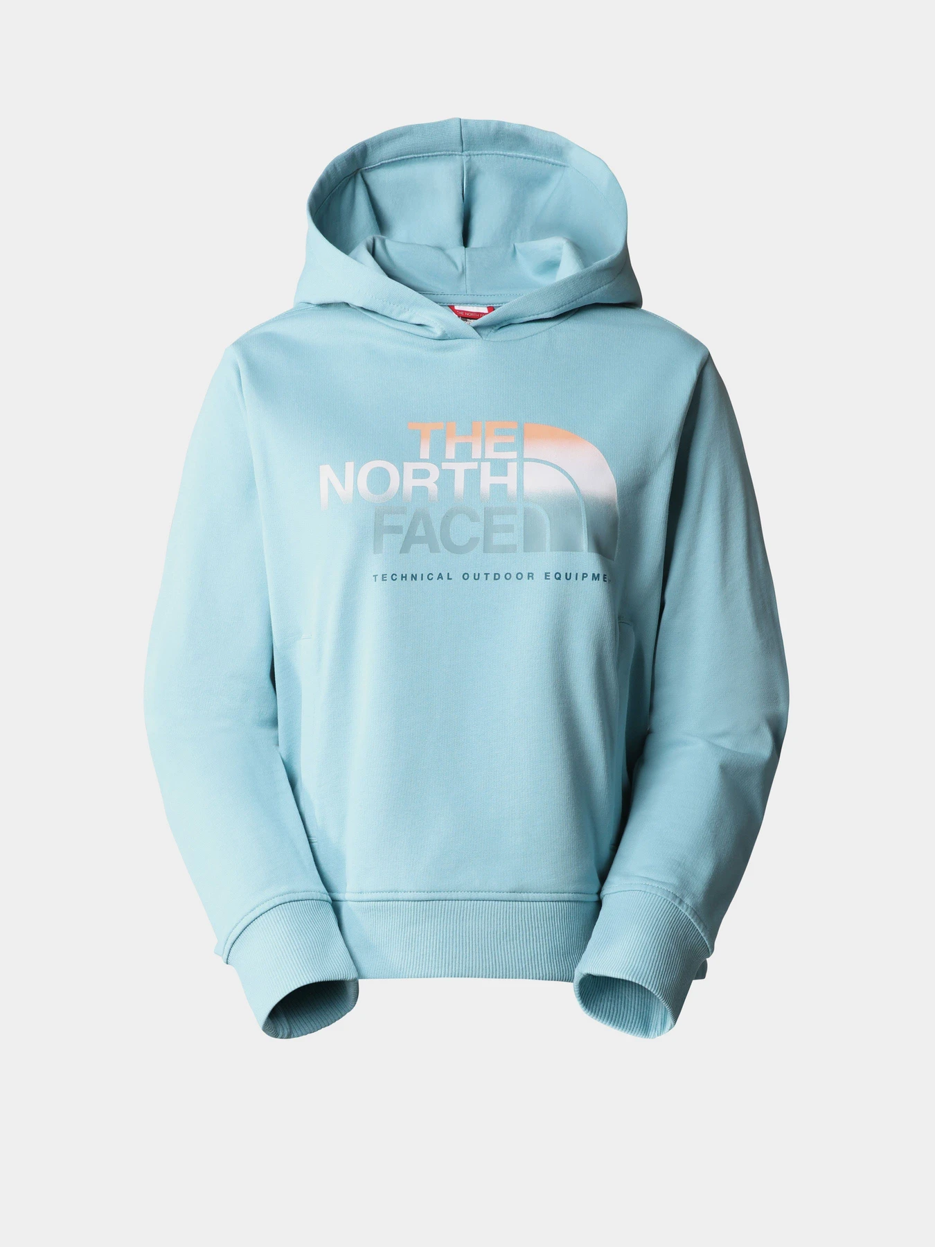 Худи и свитшоты The North Face D2 Graphic модель NF0A83FGLV21 Худи и свитшоты The North Face D2 Graphic модель NF0A83FGLV21 Фото