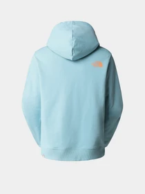 Худи и свитшоты The North Face D2 Graphic модель NF0A83FGLV21 Фото