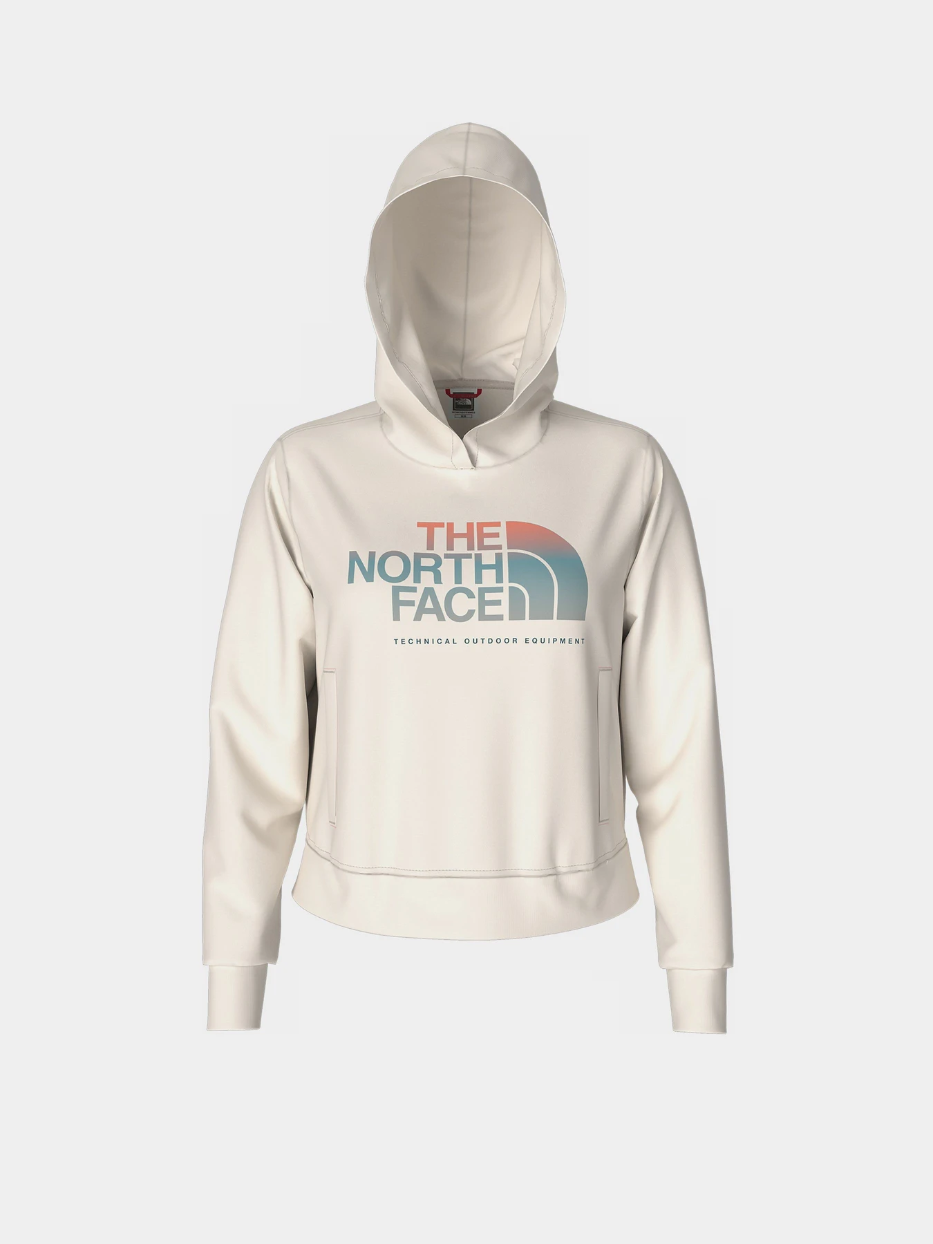 Худи и свитшоты The North Face D2 Graphic модель NF0A83FGN3N1 Фото