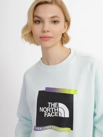 Худи и свитшоты The North Face Graphic модель NF0A83FILV51 Фото
