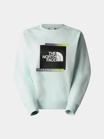 Худи и свитшоты The North Face Graphic модель NF0A83FILV51 Фото