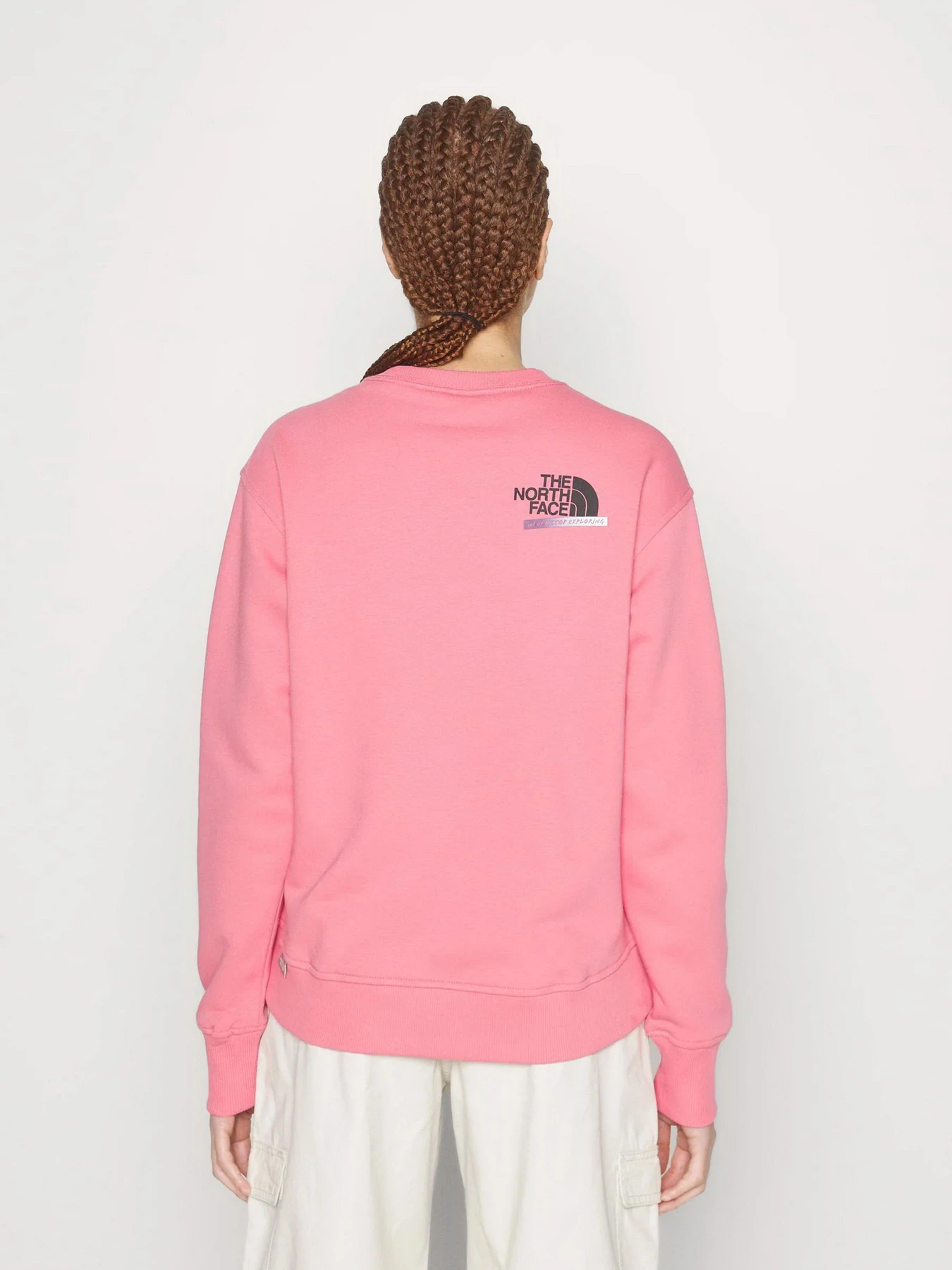 Худи и свитшоты The North Face Graphic модель NF0A83FIN0T1 Фото