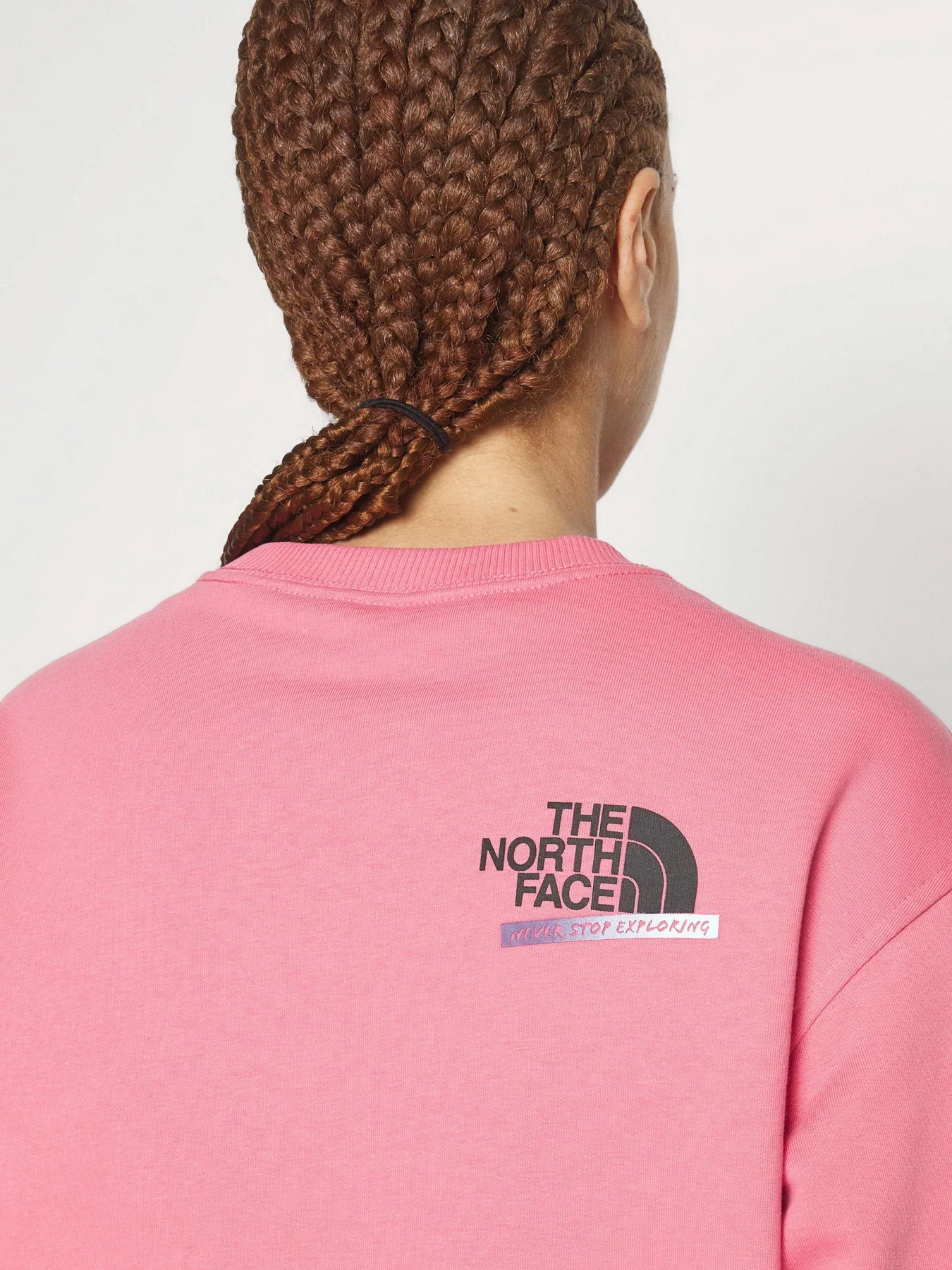 Худи и свитшоты The North Face Graphic модель NF0A83FIN0T1 Фото