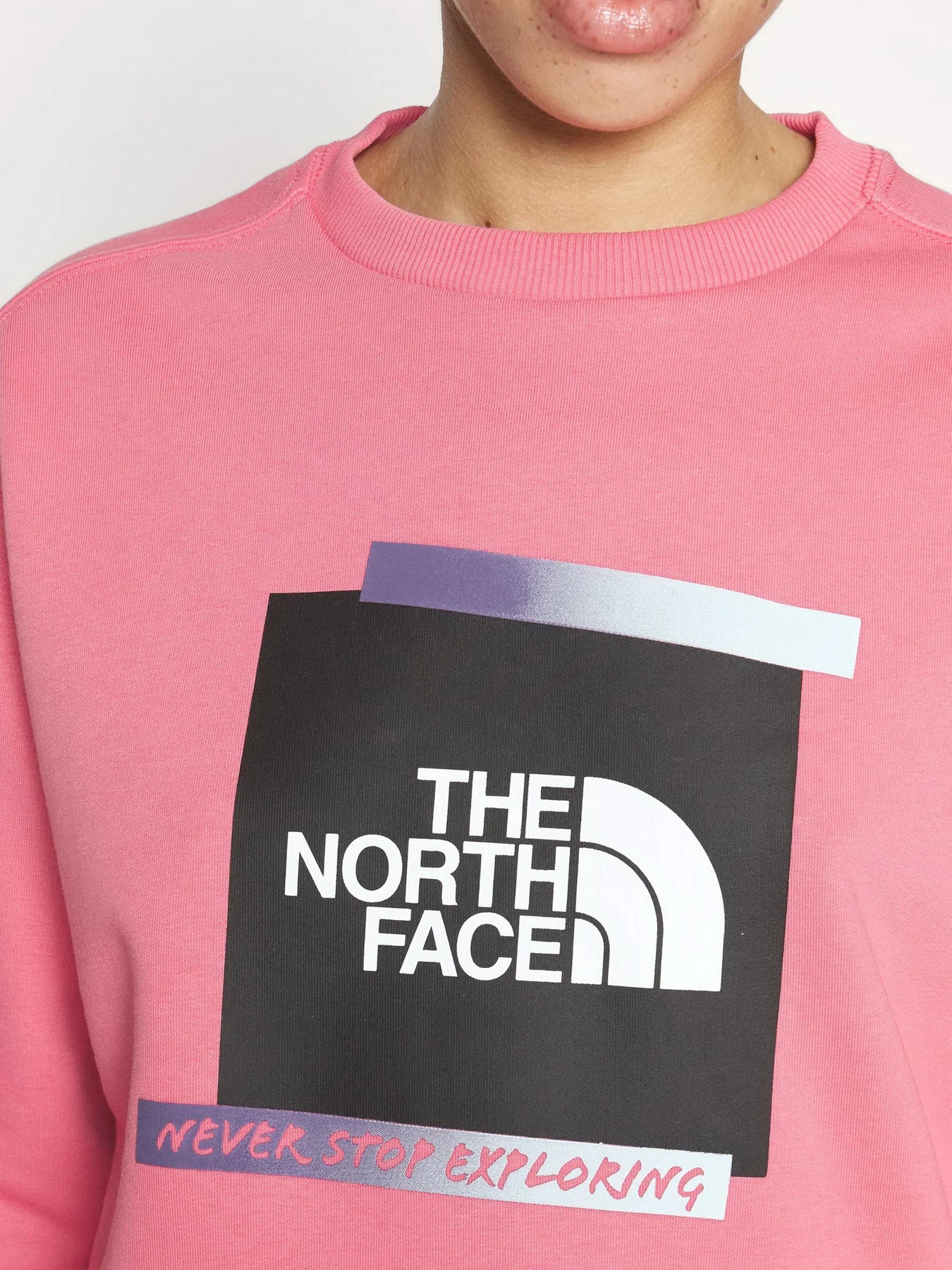 Худи и свитшоты The North Face Graphic модель NF0A83FIN0T1 Фото