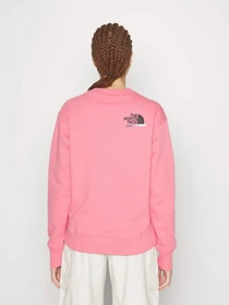 Худи и свитшоты The North Face Graphic модель NF0A83FIN0T1 Фото