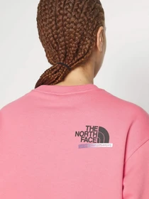 Худи и свитшоты The North Face Graphic модель NF0A83FIN0T1 Фото