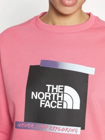 Худи и свитшоты The North Face Graphic модель NF0A83FIN0T1 Фото