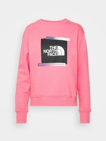 Худи и свитшоты The North Face Graphic модель NF0A83FIN0T1 Фото