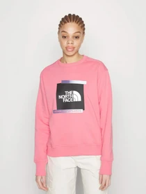 Худи и свитшоты The North Face Graphic модель NF0A83FIN0T1 Фото