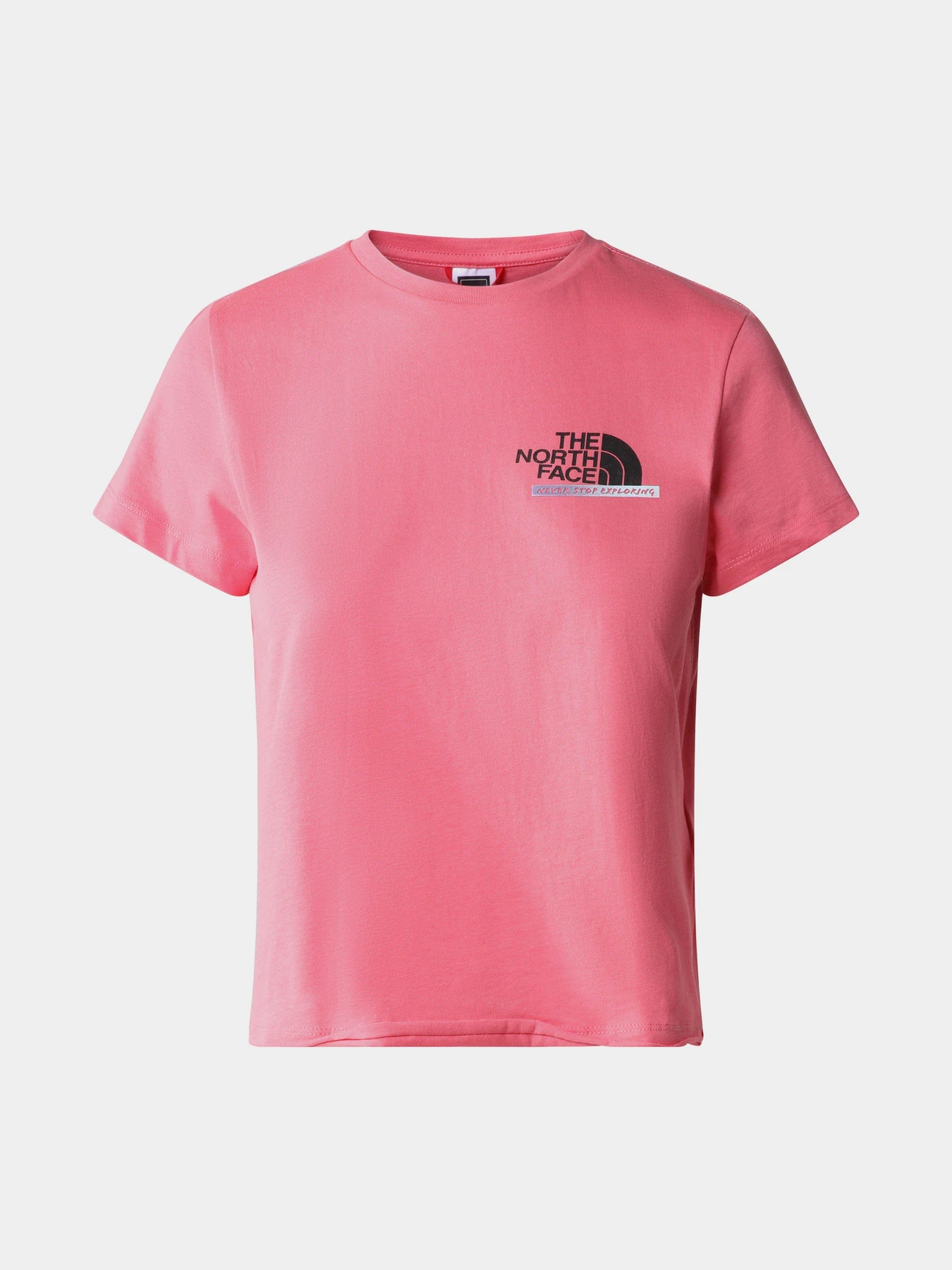 Футболки и поло The North Face Graphic модель NF0A83FJN0T1 Футболки и поло The North Face Graphic модель NF0A83FJN0T1 Фото
