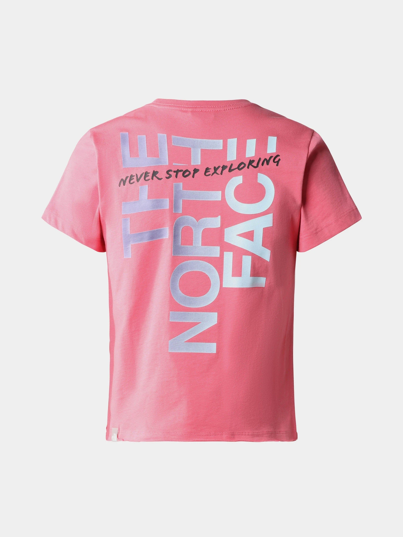 Футболки и поло The North Face Graphic модель NF0A83FJN0T1 Футболки и поло The North Face Graphic модель NF0A83FJN0T1 Фото