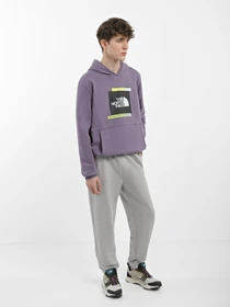 Худі та світшоти The North Face Graphic модель NF0A83FKN141 Фото