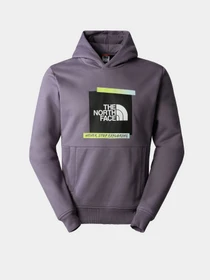 Худі та світшоти The North Face Graphic модель NF0A83FKN141 Фото