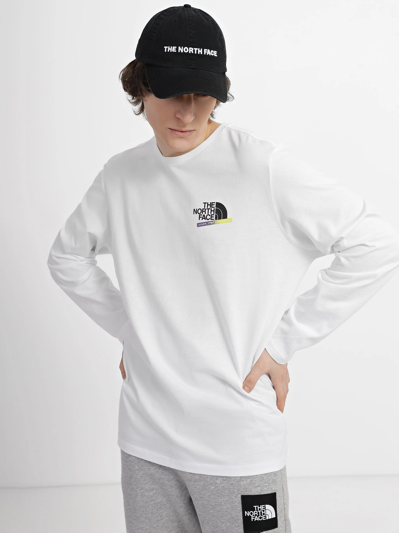 Худи и свитшоты The North Face Graphic модель NF0A83FLFN41 Худи и свитшоты The North Face Graphic модель NF0A83FLFN41 Фото