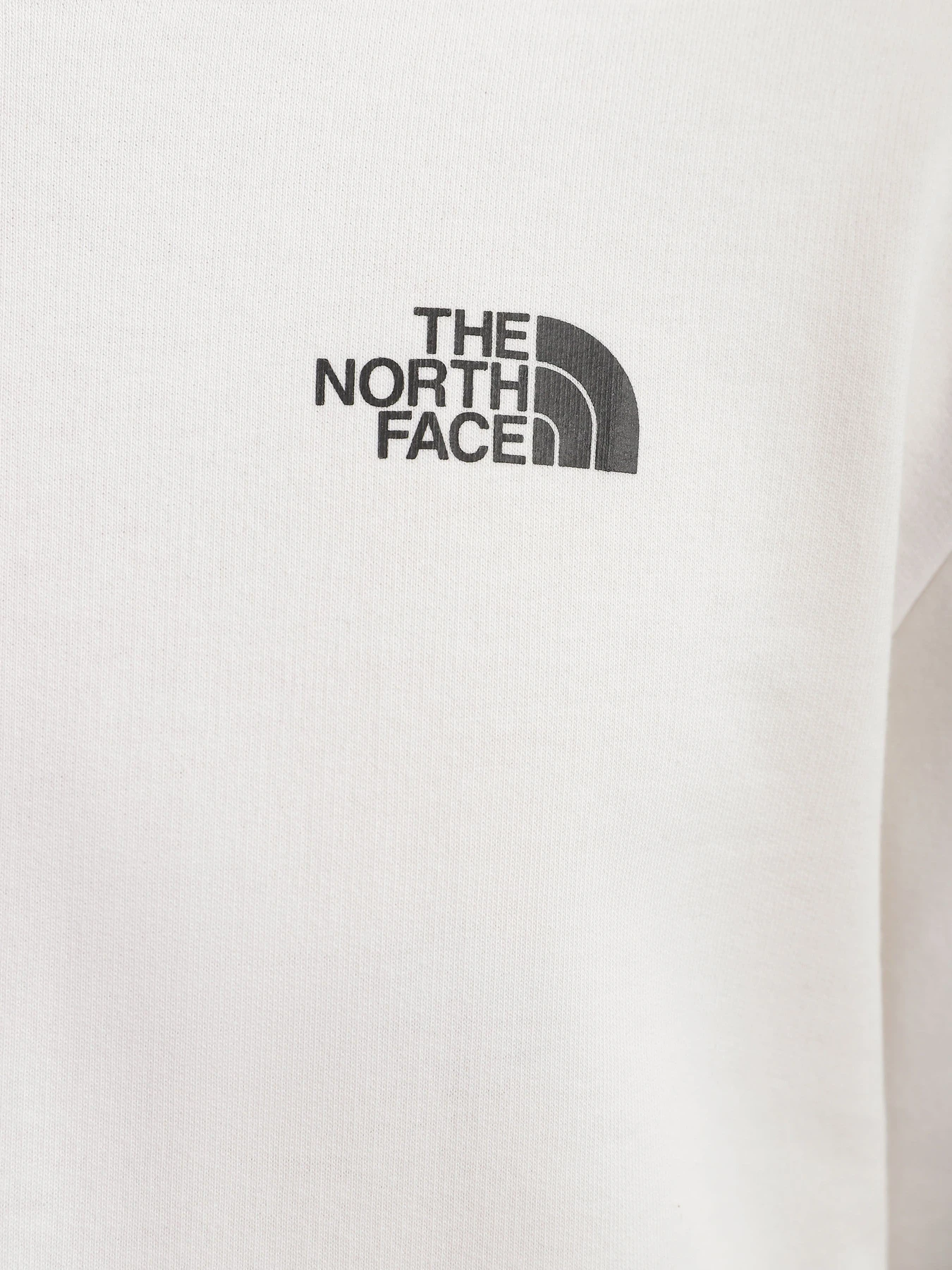 Худі та світшоти The North Face Graphic модель NF0A83FON3N1 Худі та світшоти The North Face Graphic модель NF0A83FON3N1 Фото