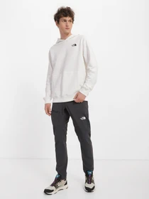 Худі та світшоти The North Face Graphic модель NF0A83FON3N1 Фото