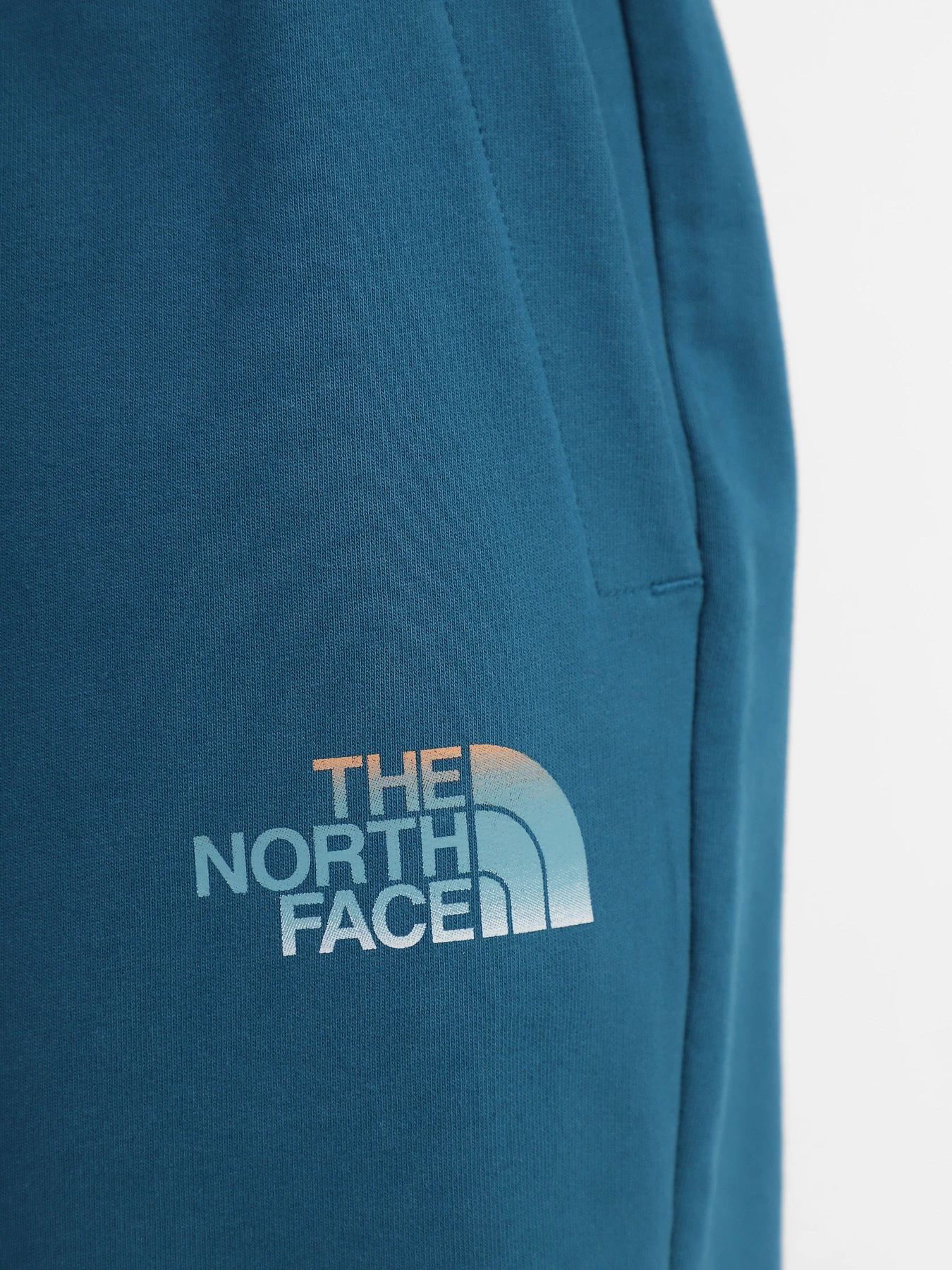 Шорты The North Face Graphic модель NF0A83FREFS1 Шорты The North Face Graphic модель NF0A83FREFS1 Фото