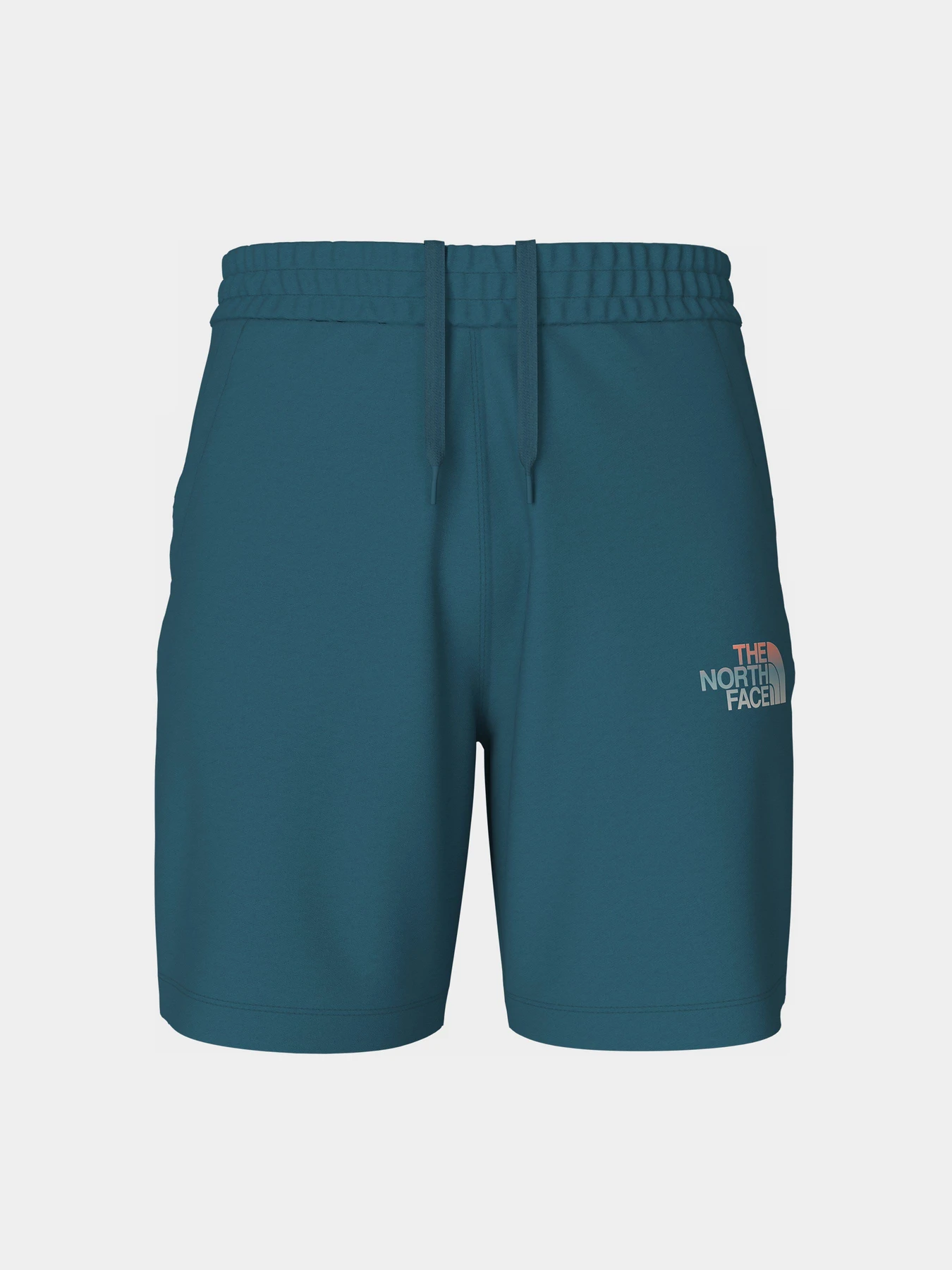 Шорты The North Face Graphic модель NF0A83FREFS1 Шорты The North Face Graphic модель NF0A83FREFS1 Фото