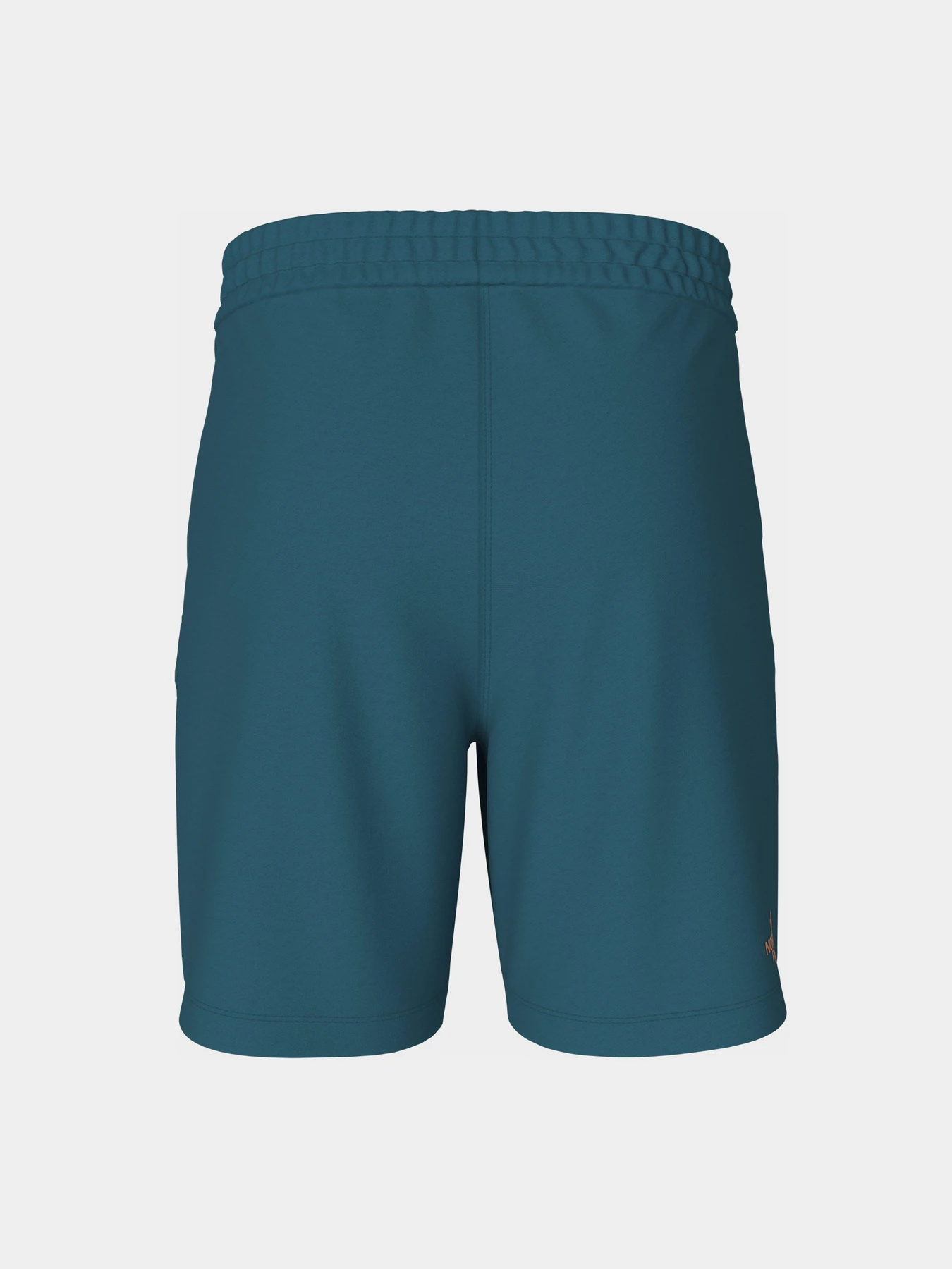 Шорты The North Face Graphic модель NF0A83FREFS1 Шорты The North Face Graphic модель NF0A83FREFS1 Фото
