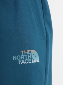Шорты The North Face Graphic модель NF0A83FREFS1 Фото
