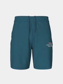Шорты The North Face Graphic модель NF0A83FREFS1 Фото