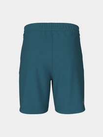 Шорты The North Face Graphic модель NF0A83FREFS1 Фото