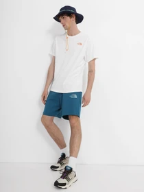 Шорты The North Face Graphic модель NF0A83FREFS1 Фото