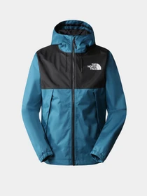 Куртки и дубленки The North Face Mountain модель NF0A5IG2EFS1 Фото