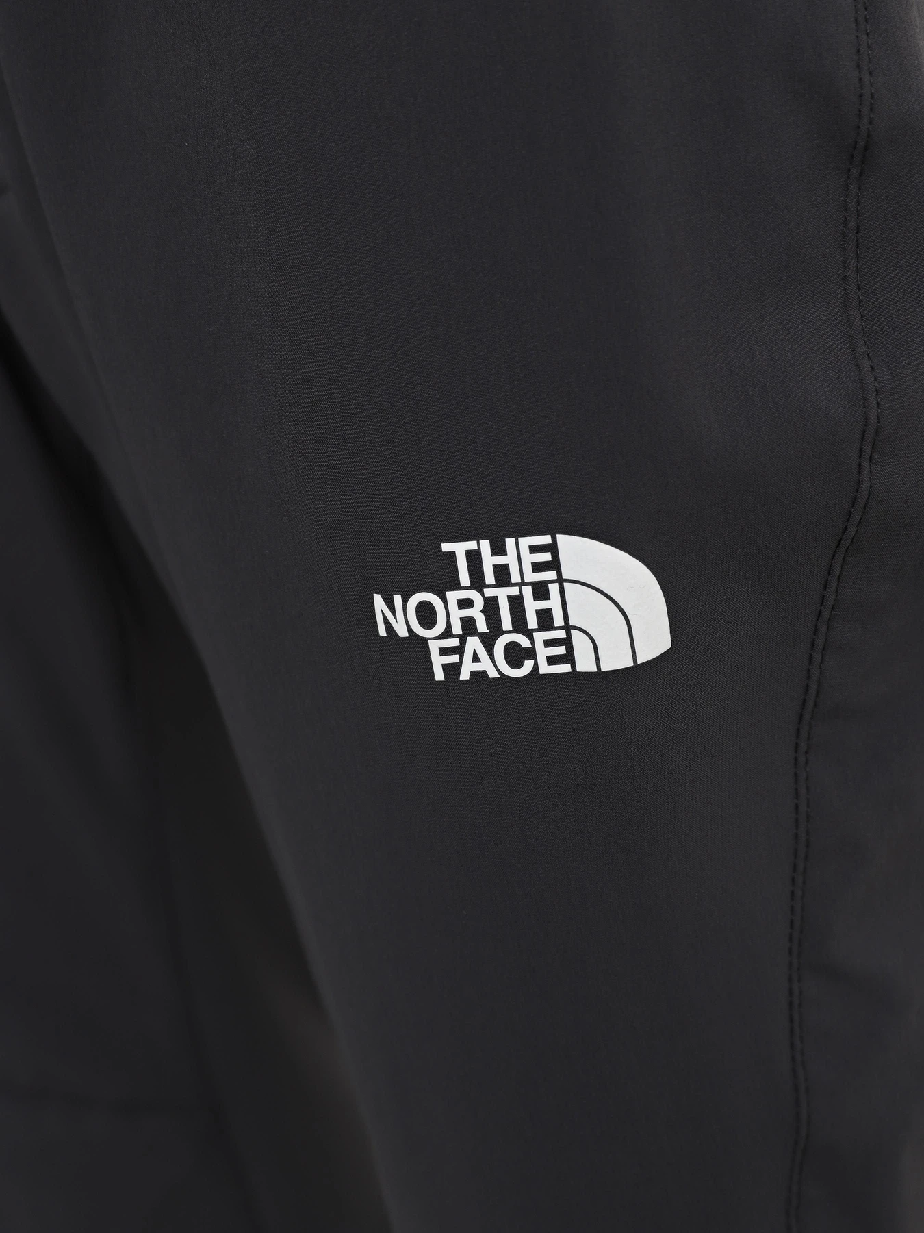 Брюки The North Face Speedlight модель NF0A7Z8A0C51 Фото