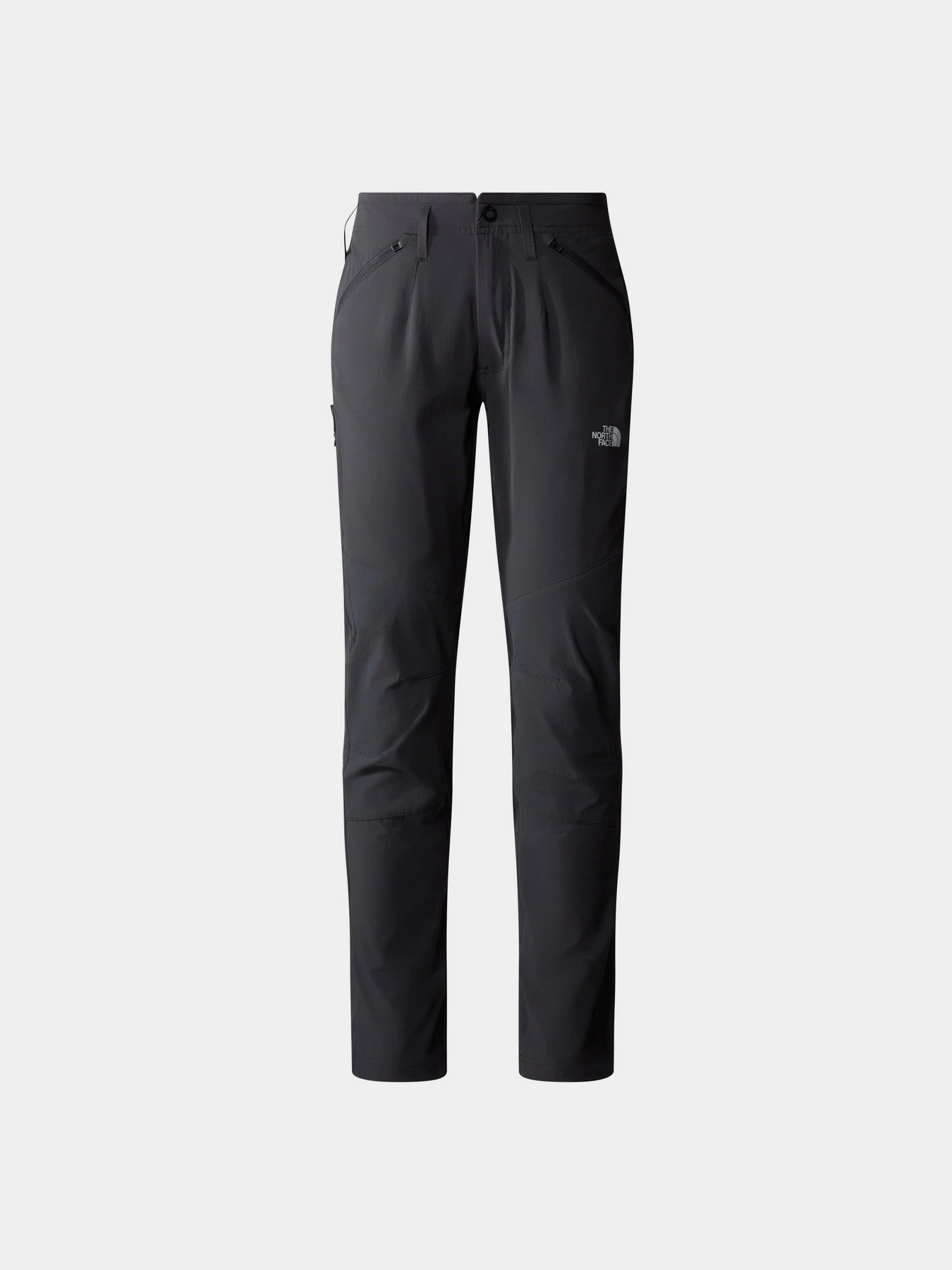 Брюки The North Face Speedlight модель NF0A7Z8A0C51 Фото