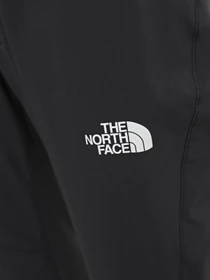 Брюки The North Face Speedlight модель NF0A7Z8A0C51 Фото