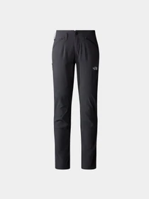 Брюки The North Face Speedlight модель NF0A7Z8A0C51 Фото