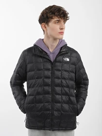 Куртки та дублянки The North Face Thermoball Eco модель NF0A5GLLJK31 Фото