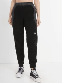 Брюки The North Face Convin модель NF0A8241JK31 Фото