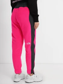 Брюки The North Face Convin модель NF0A8241N161 Фото