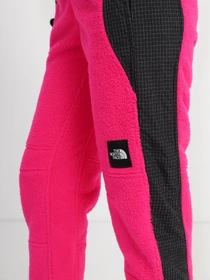 Брюки The North Face Convin модель NF0A8241N161 Фото