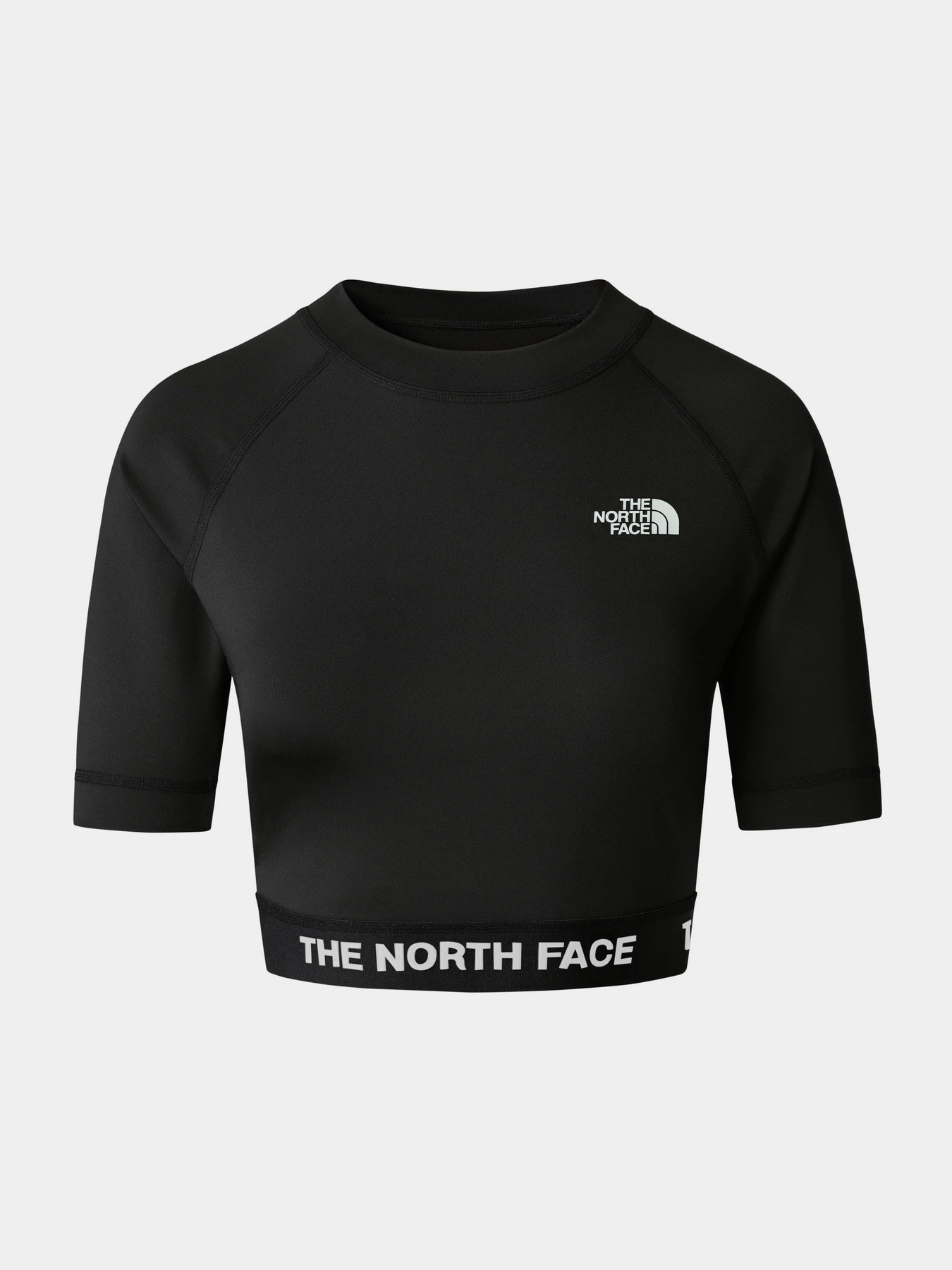 Футболки и поло The North Face Performance модель NF0A824FJK31 Футболки и поло The North Face Performance модель NF0A824FJK31 Фото