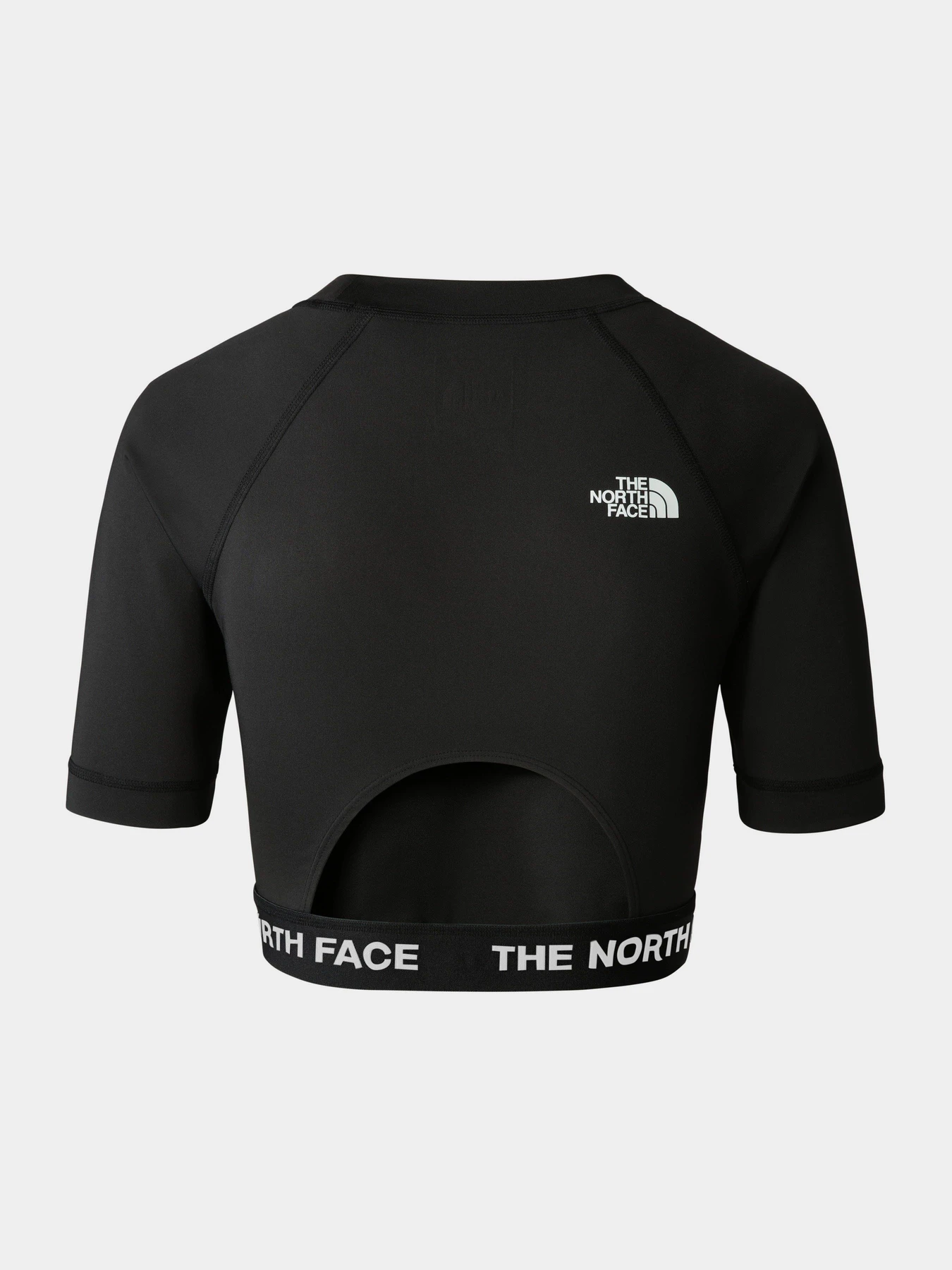 Футболки и поло The North Face Performance модель NF0A824FJK31 Футболки и поло The North Face Performance модель NF0A824FJK31 Фото