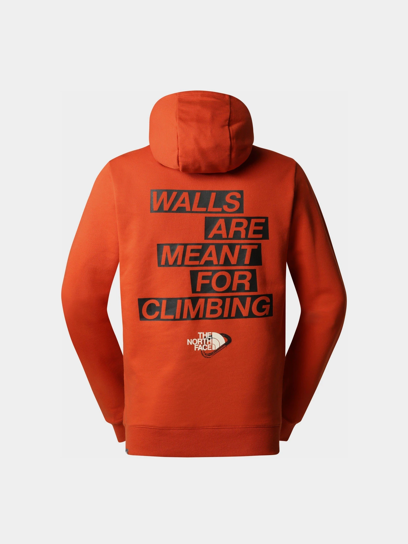 Худі та світшоти The North Face Outdoor Light Graphic модель NF0A827ILV41 Худі та світшоти The North Face Outdoor Light Graphic модель NF0A827ILV41 Фото