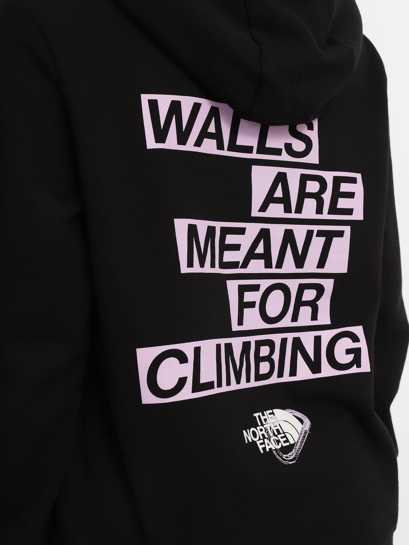 Худи и свитшоты The North Face Outdoor Graphic модель NF0A827LJK31 Фото