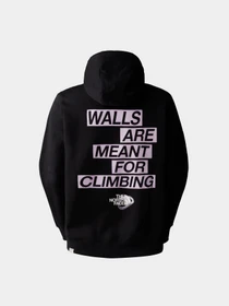 Худи и свитшоты The North Face Outdoor Graphic модель NF0A827LJK31 Фото