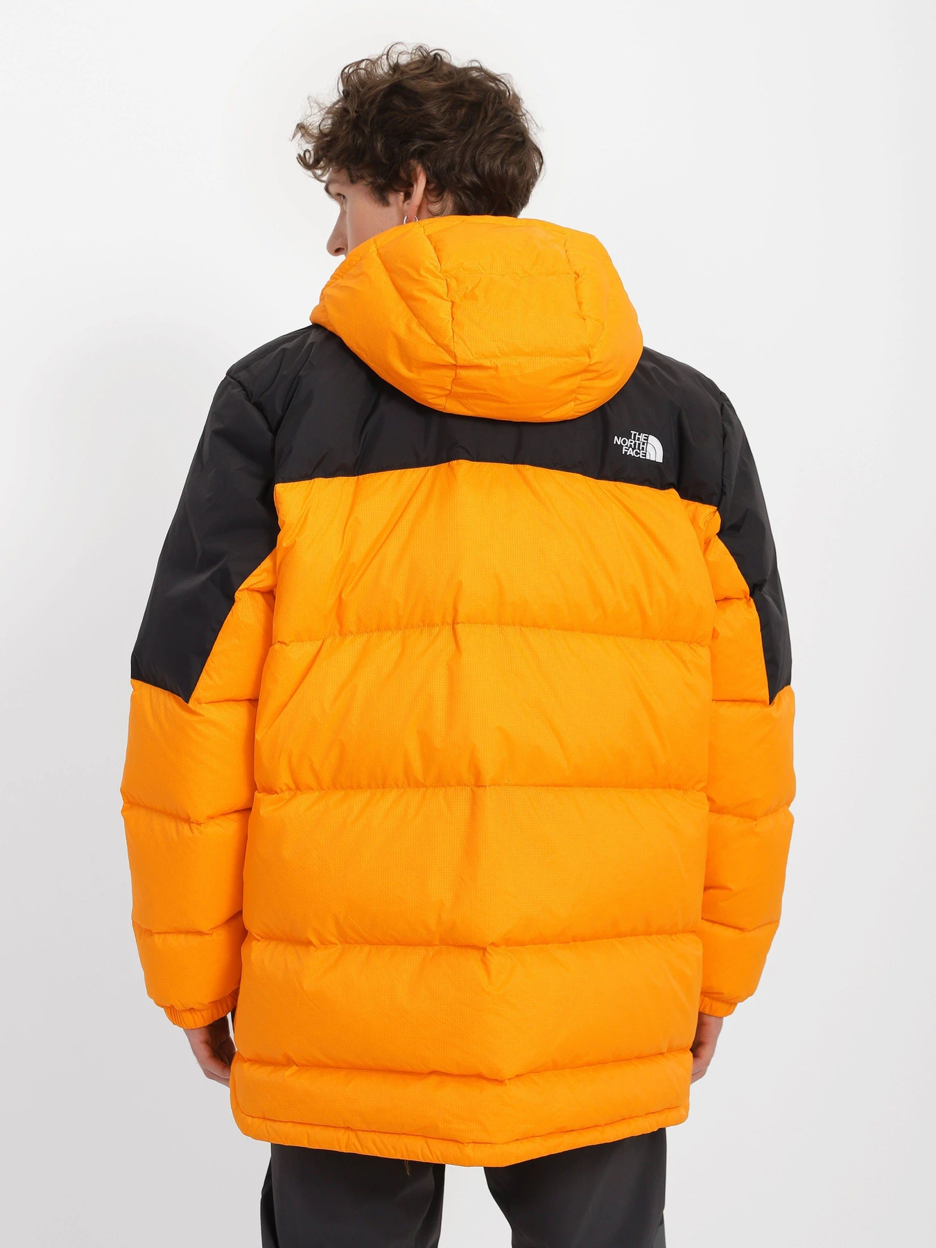 Куртки та дублянки The North Face Diablo модель NF0A4M9L7Q61 Куртки та дублянки The North Face Diablo модель NF0A4M9L7Q61 Фото