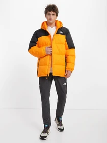 Куртки та дублянки The North Face Diablo модель NF0A4M9L7Q61 Фото