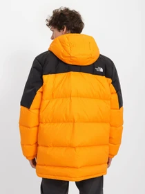 Куртки та дублянки The North Face Diablo модель NF0A4M9L7Q61 Фото