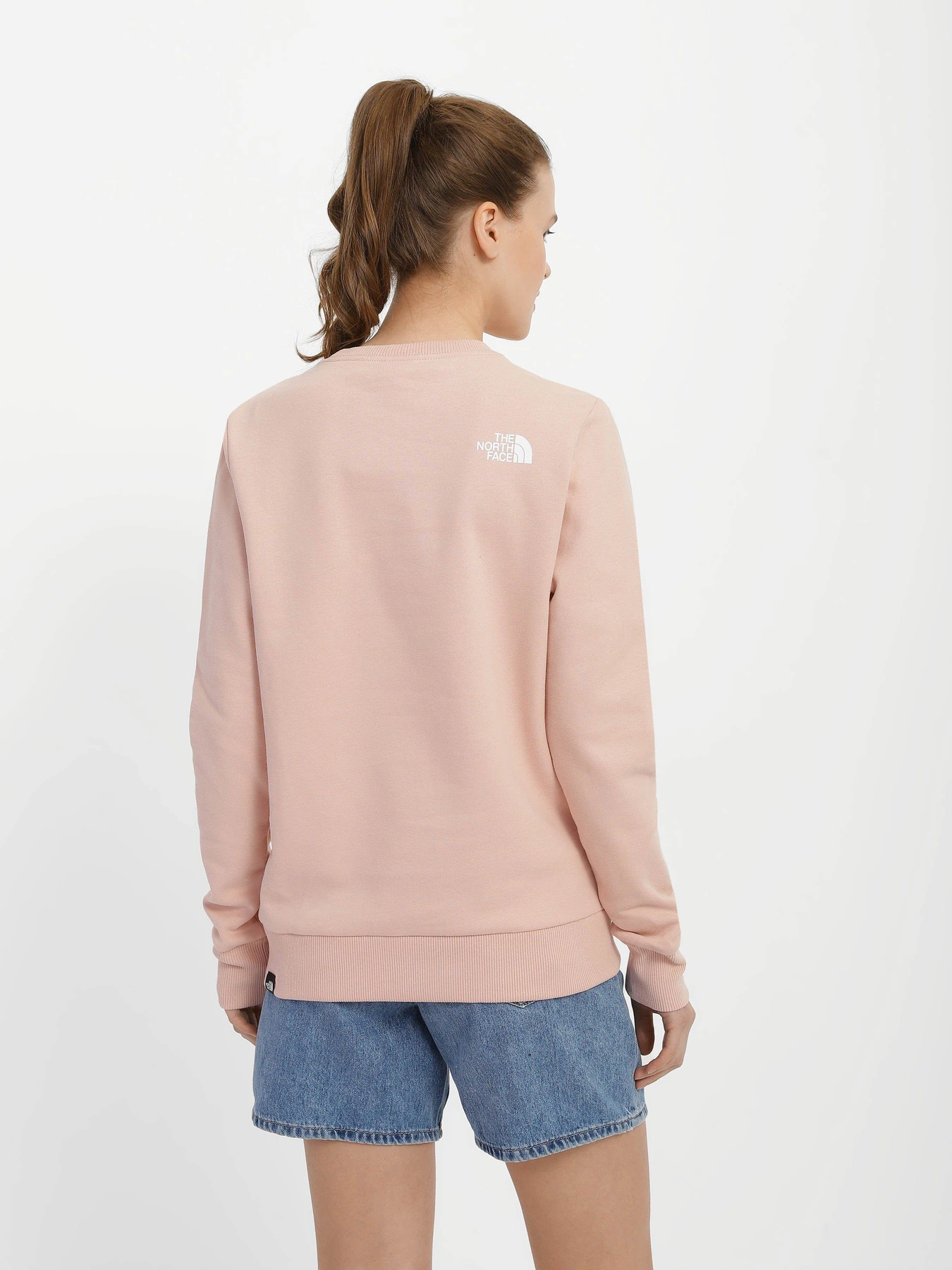 Худи и свитшоты The North Face Standard модель NF0A4M7ELK61 Худи и свитшоты The North Face Standard модель NF0A4M7ELK61 Фото
