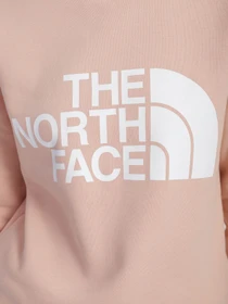 Худи и свитшоты The North Face Standard модель NF0A4M7ELK61 Фото